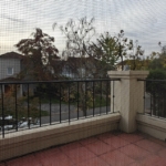 oplus_3145760