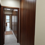 oplus_11534368