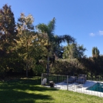 oplus_11534336